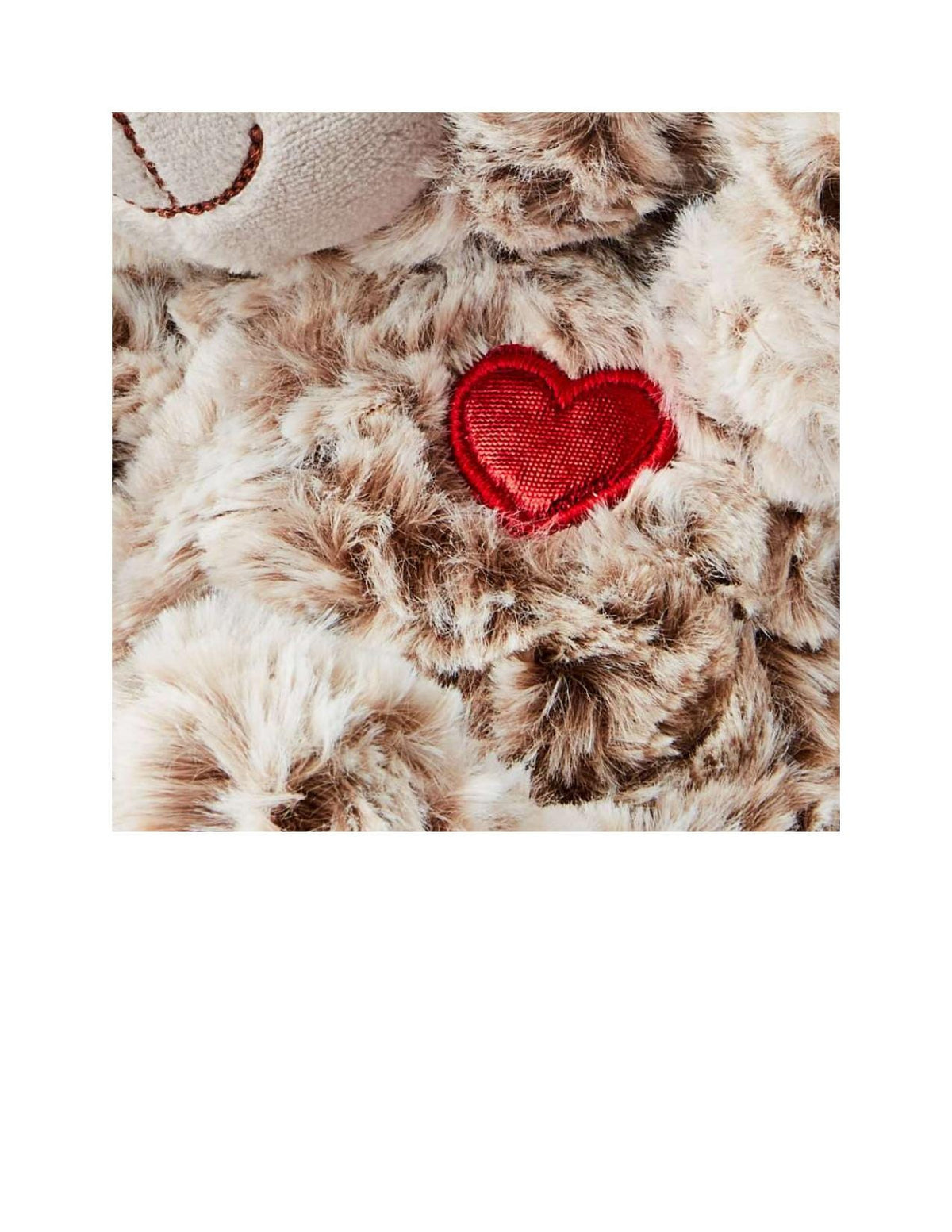 Celebrate Bear - White & Chocolate Polyester Plush