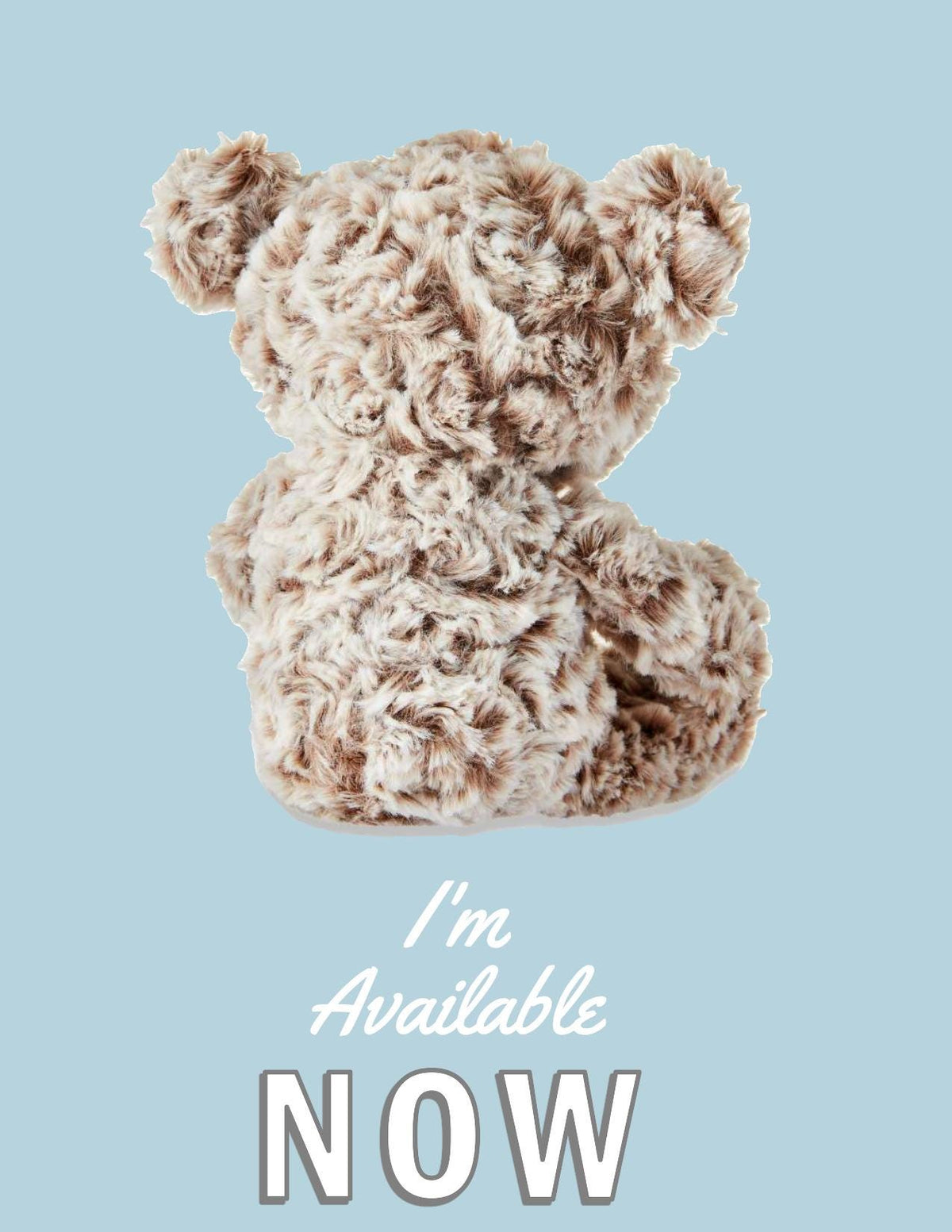 Celebrate Bear - White & Chocolate Polyester Plush